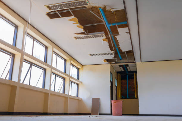 Best Commercial water damage restoration  in Brooksville, FL