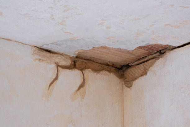 Best Emergency water damage restoration  in Brooksville, FL