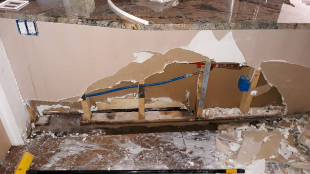 Best Ceiling water damage repair  in Brooksville, FL