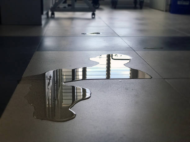 Best 24-hour water damage restoration  in Brooksville, FL