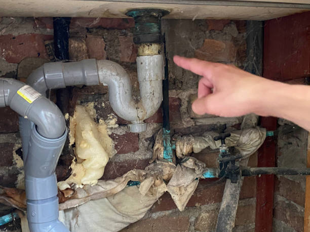 Best Flooded house restoration  in Brooksville, FL